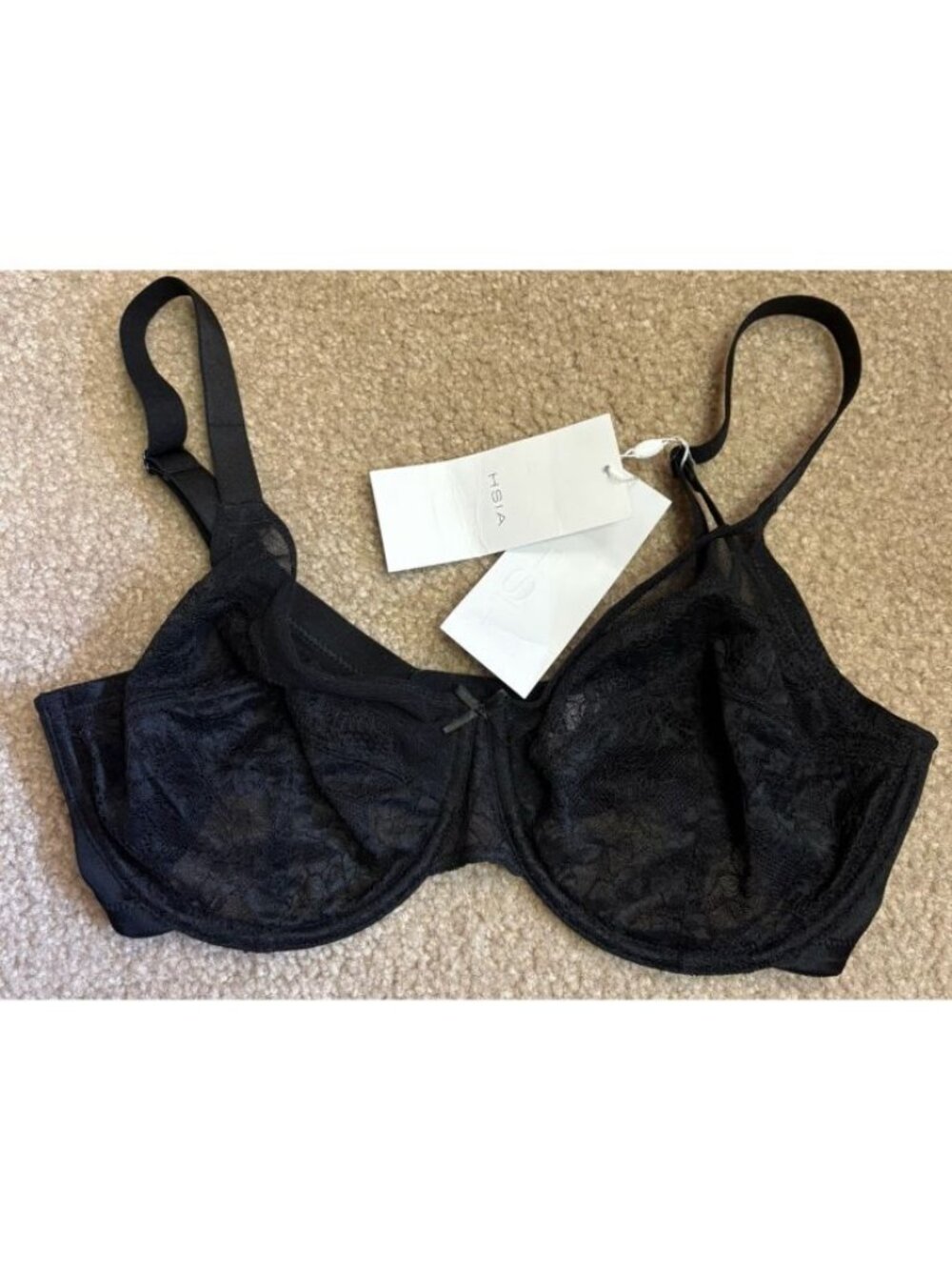 HSIA Lace Mesh Underwire bra Womens Size 34DD Black Back Hook & Eye Unlined Sexy
